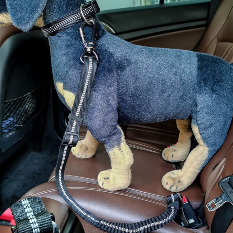 Car seat belt tether