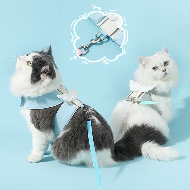 Two cats wearing light blue harnesses with small angel wings