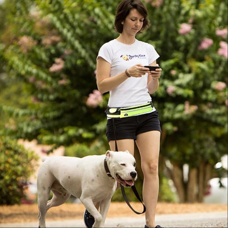 Hands-free dog leash