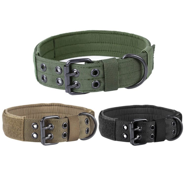 Heavy-duty dog collar