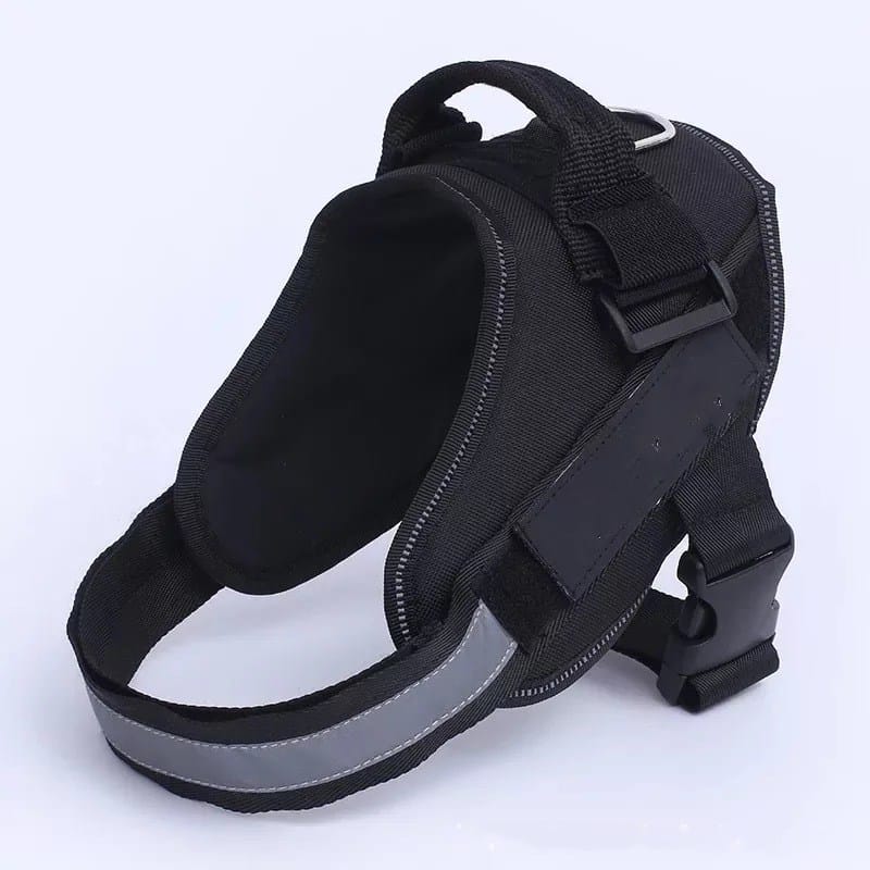 Padded dog harness