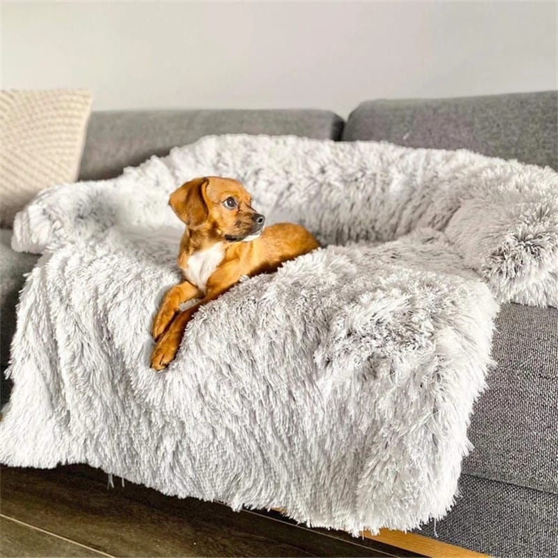 Plush sofa dog bed