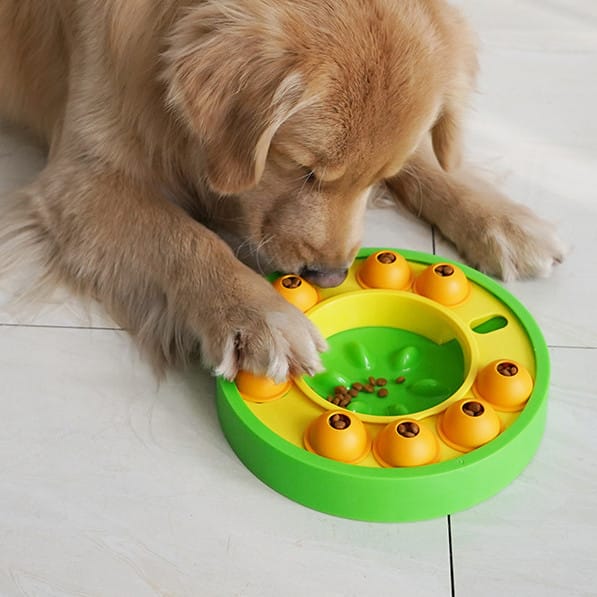 Puzzle slow feeder