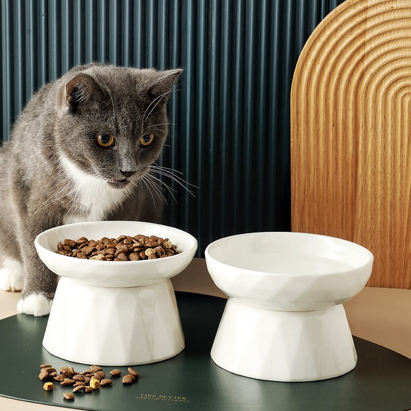 Raised cat bowl