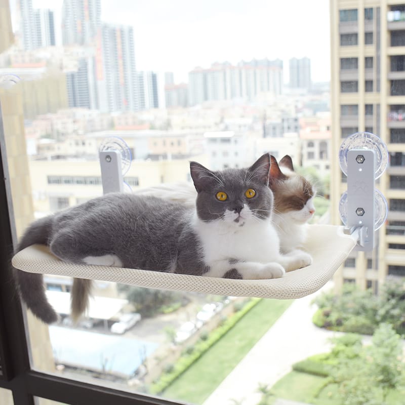 Window cat hammock